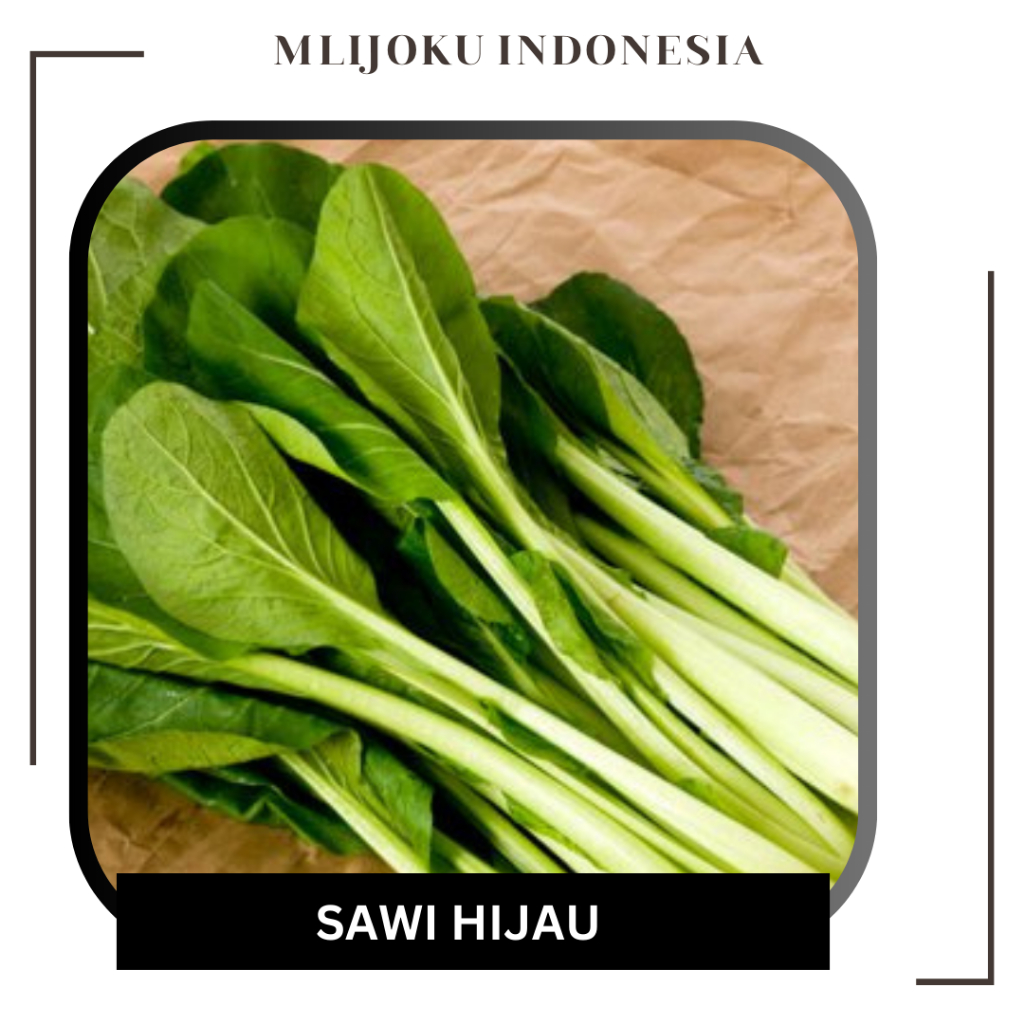 

Sawi Hijau Bersih Fresh 1 Ikat