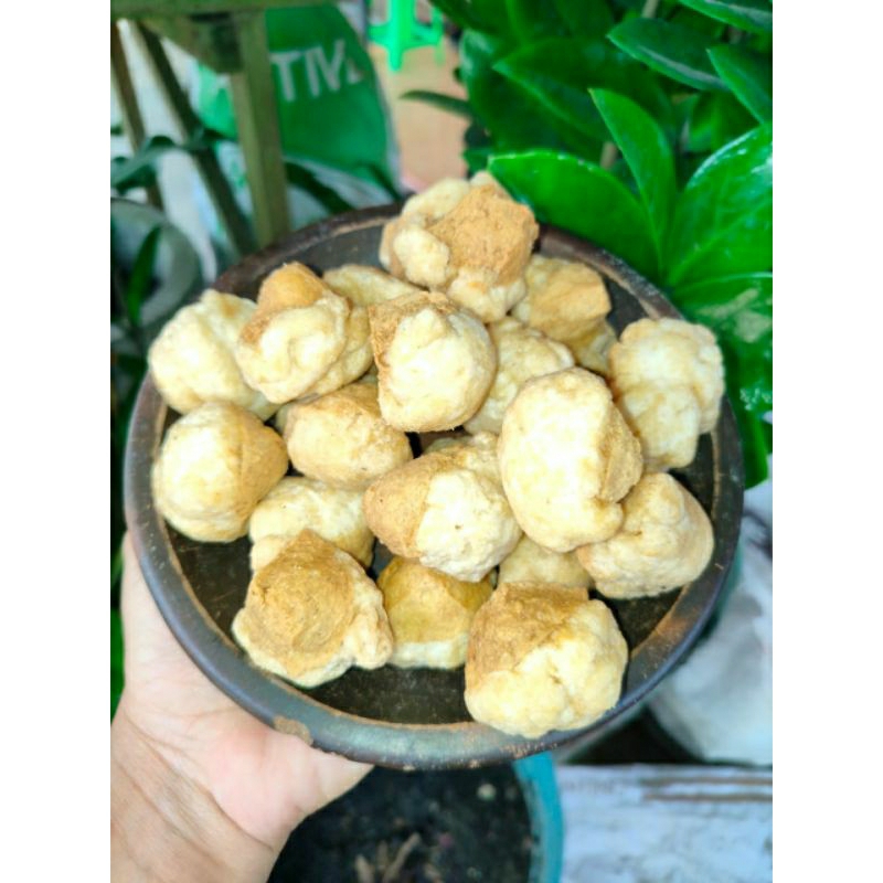 

Tahu Cuanki isi 25pcs