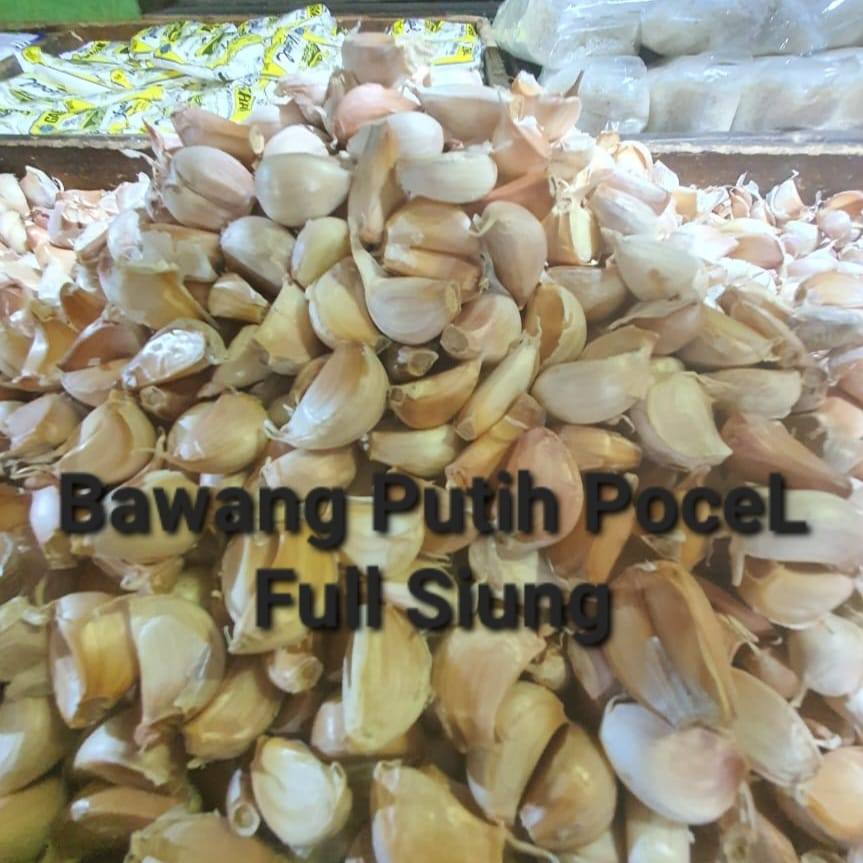 

Bawang Putih Pocel Full Siung Bumbu Masak 250gr 500gr 1kg