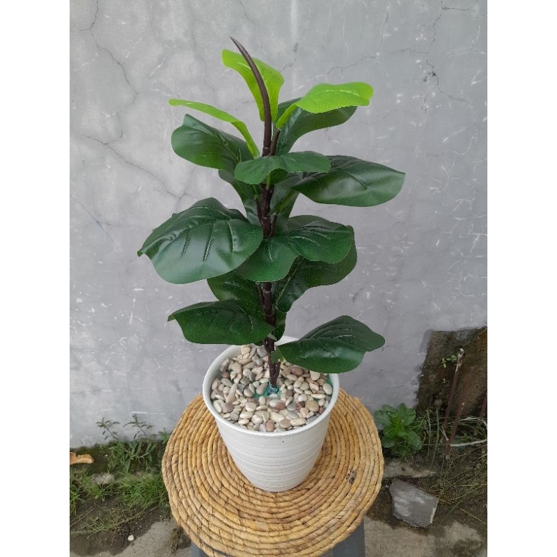 TANAMAN ARTIFICIAL KETAPANG D15(sudah termasuk pot)