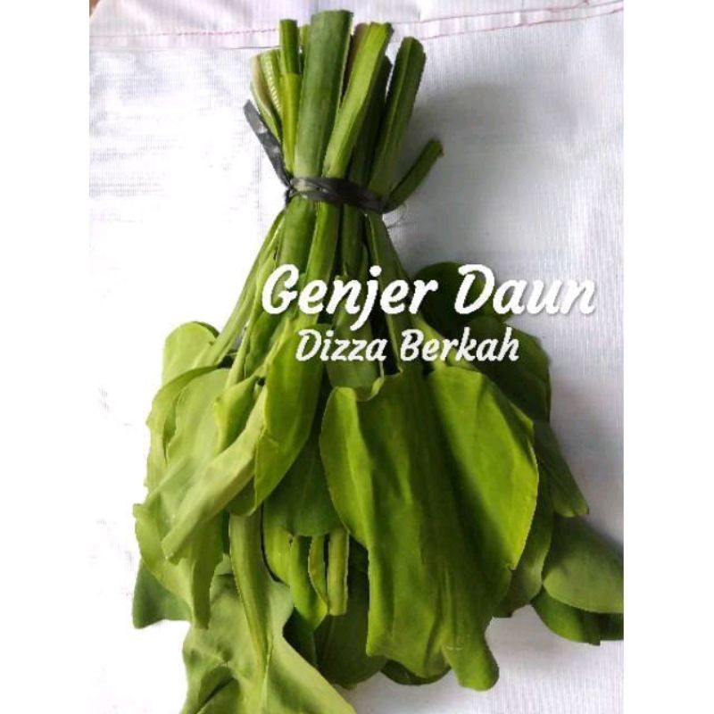 

GENJER BUNGA/GENJER DAUN/1 IKAT/SEGAR/DIZZA BERKAH