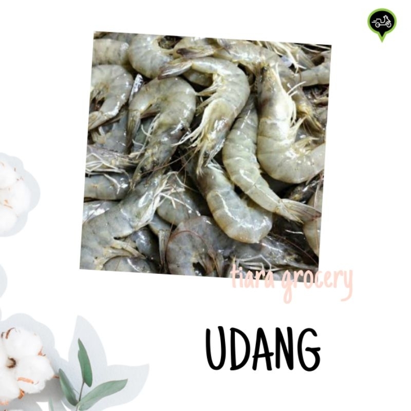 

Udang fresh