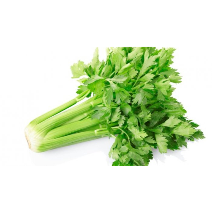 

Saledri Besar ( Jus )