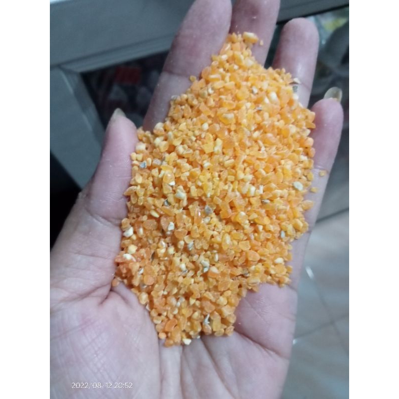 

beras jagung kualitas bagus 500 gr