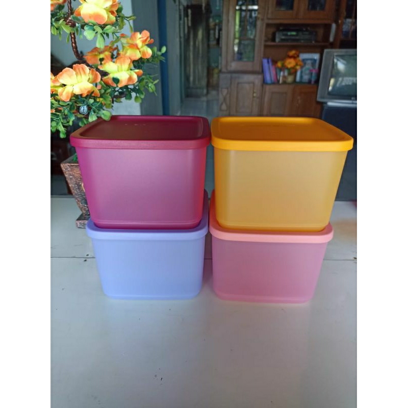 MEDIUM SUMMER FRESH TUPPERWARE