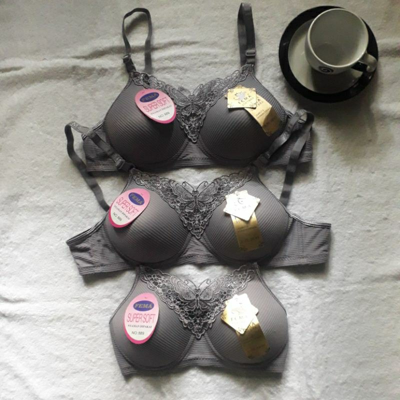 BRA / BH FEMA 889