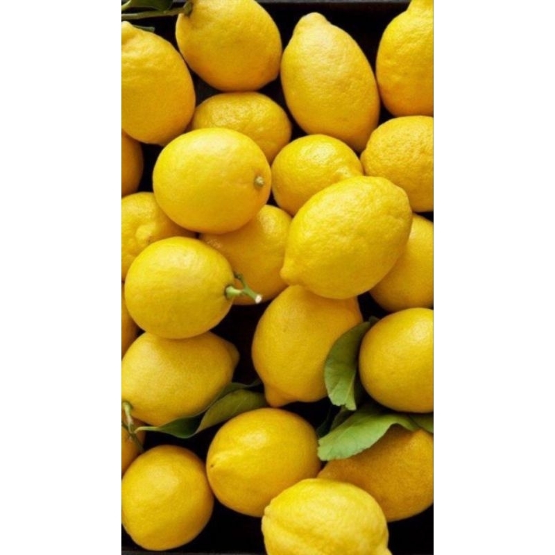 

[ MURAH ] - Lemon (per pcs)