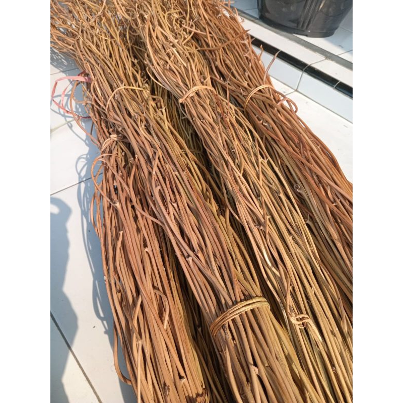 akar Manon untuk dekorasi