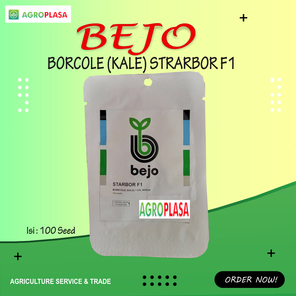 Benih Kele BEJO STARBOR F1 100 Seeds