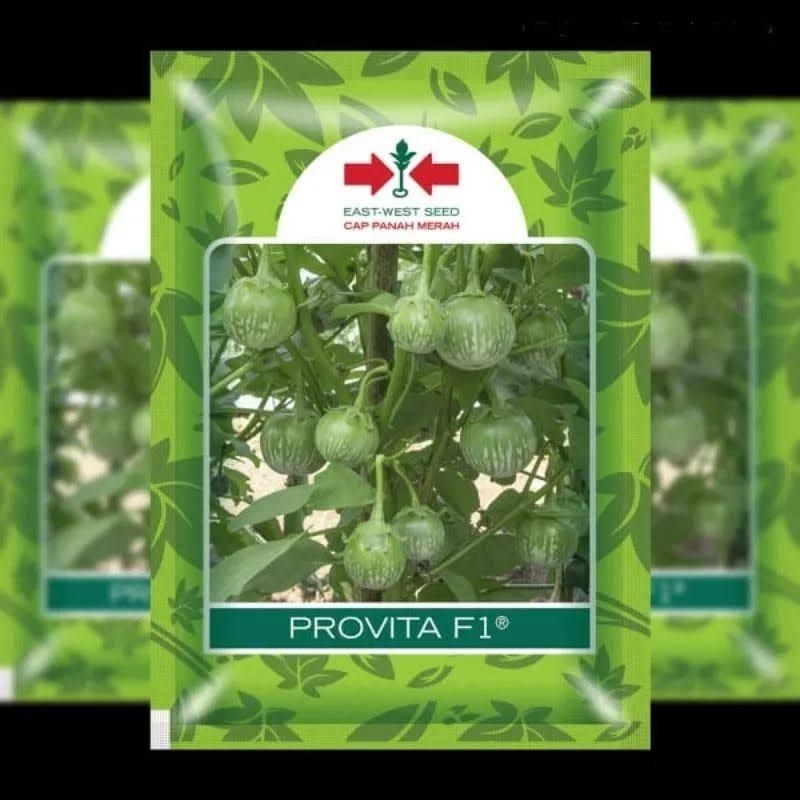 PROVITA || Benih Terong Bulat Hijau || Cap Panah Merah || 1.100 Biji