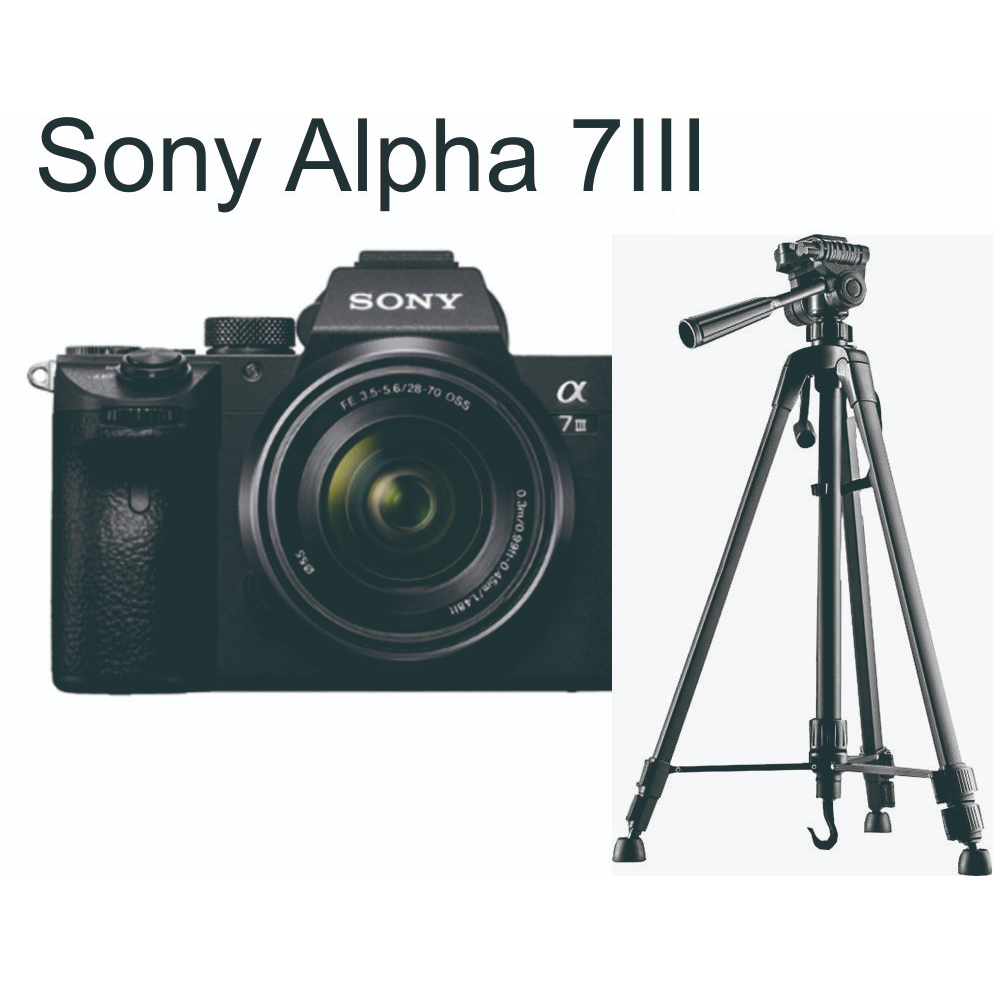Sony / Sony a7 iii / a7 iii Body Only - Unit Only