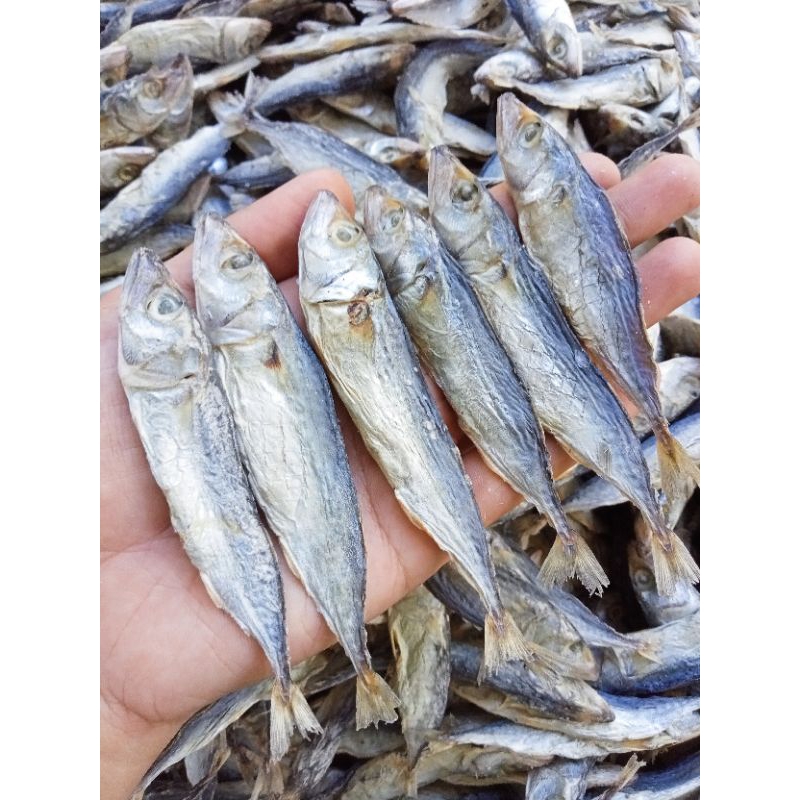

Ikan Asin Peda Ukuran Kecil 100 Gram