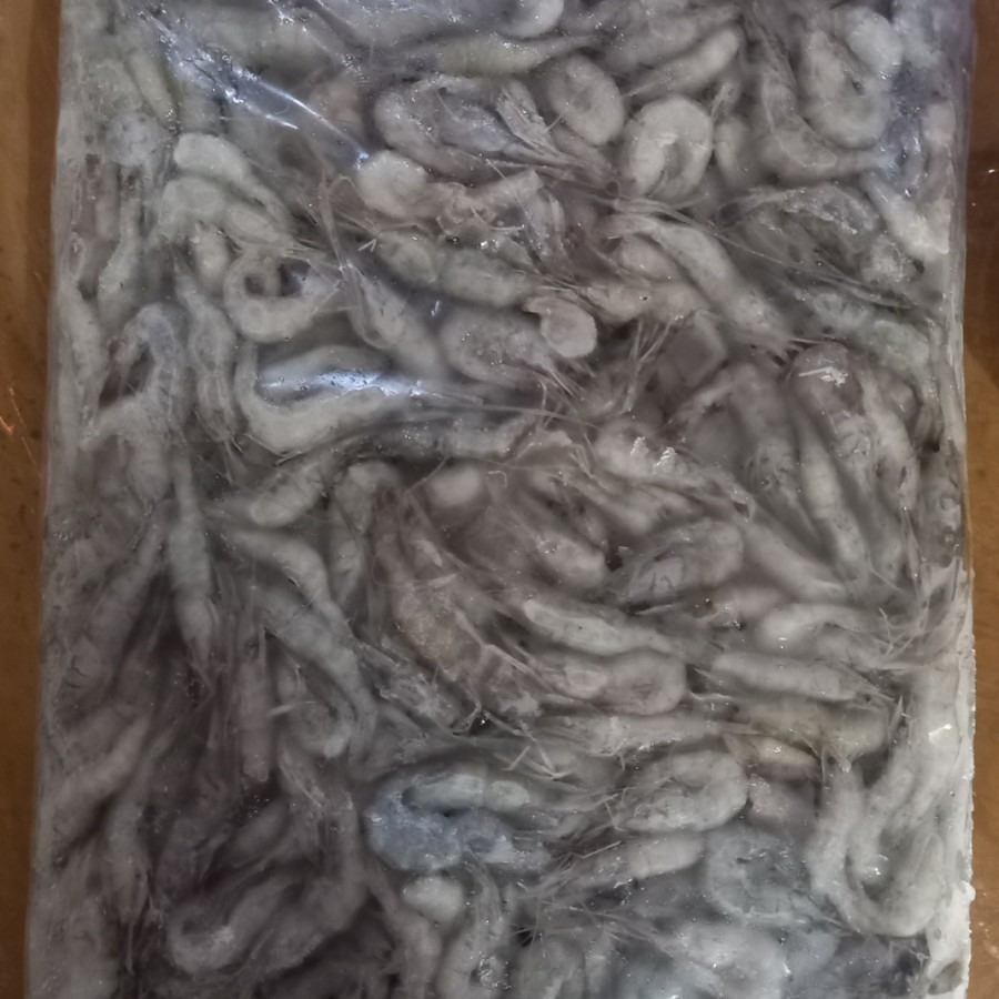 Udang Beku (Sedang) Pakan Ikan Predator