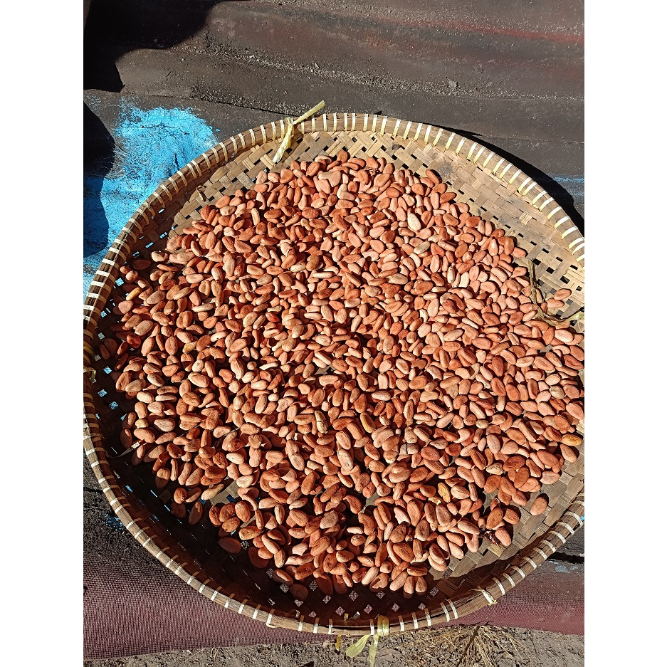 

biji coklat kering prremium 1 kg