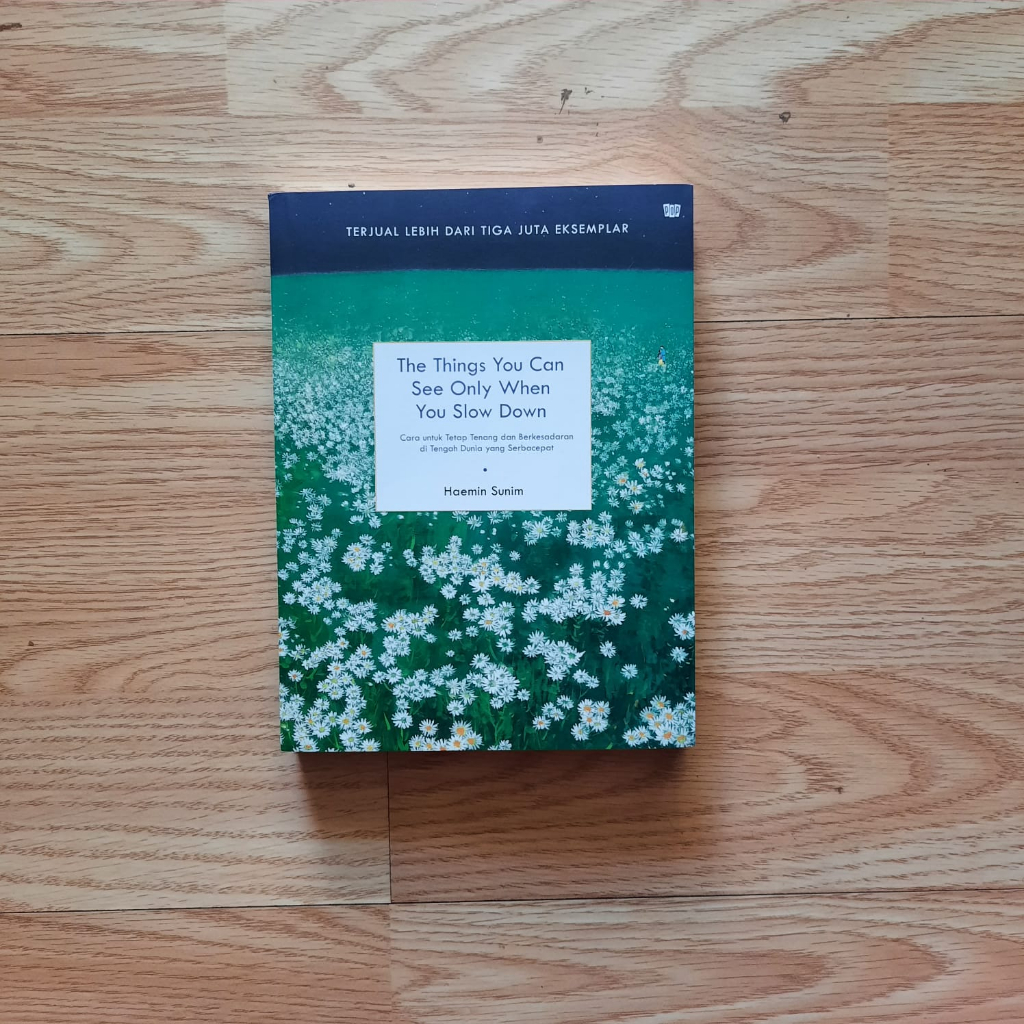 The Things You Can See Only When You Slow Down [Preloved]