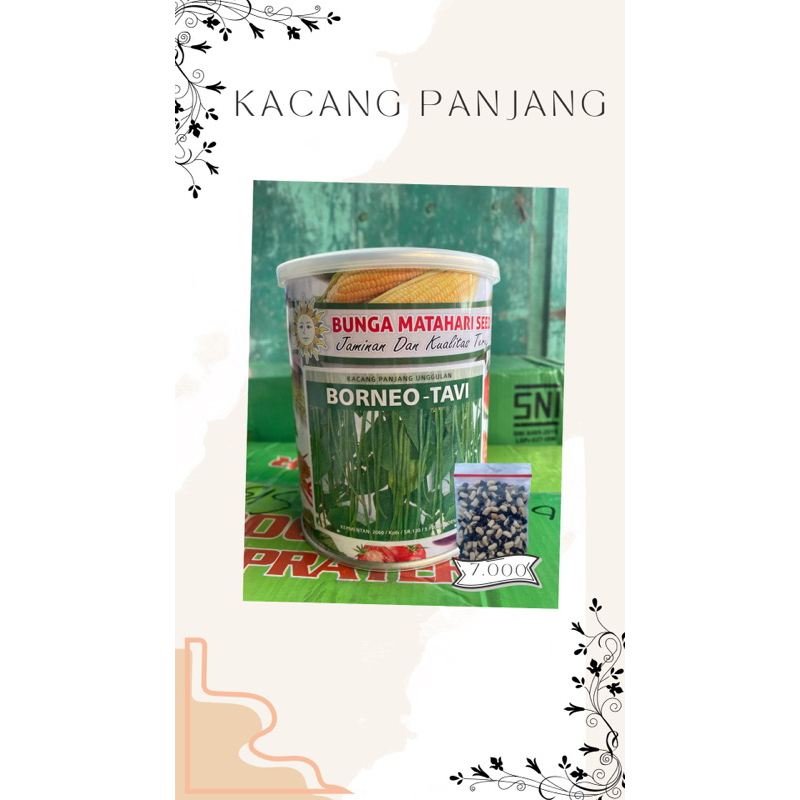 Bibit Kacang Panjang