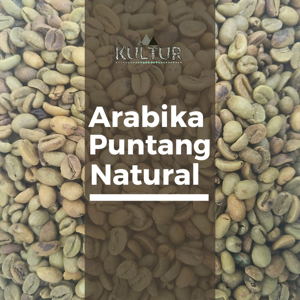 

GREEN BEAN ARABIKA PUNTANG NATURAL BIJI KOPI MENTAH NETTO 1 KG