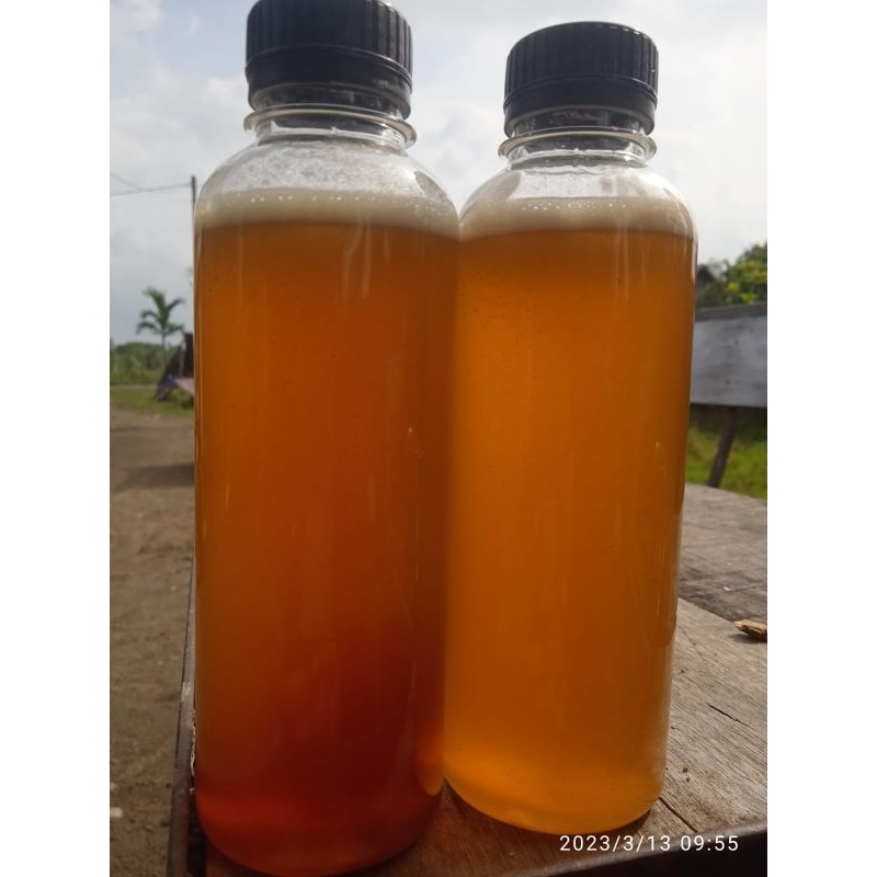 

Madu Asli Hutan Aceh 1 kg