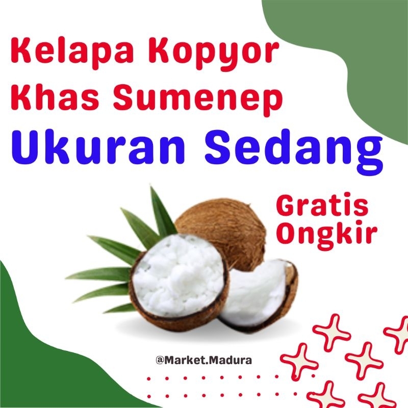 Kelapa Kopyor /Puan/ Poan Asli Sumenep Madura | Variasi Sedang