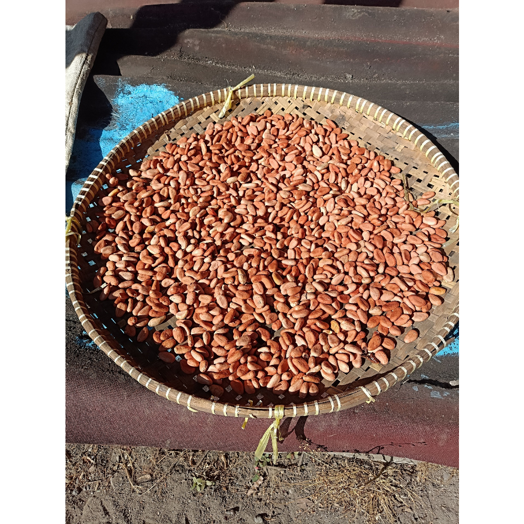 

biji kakao kering 1kg