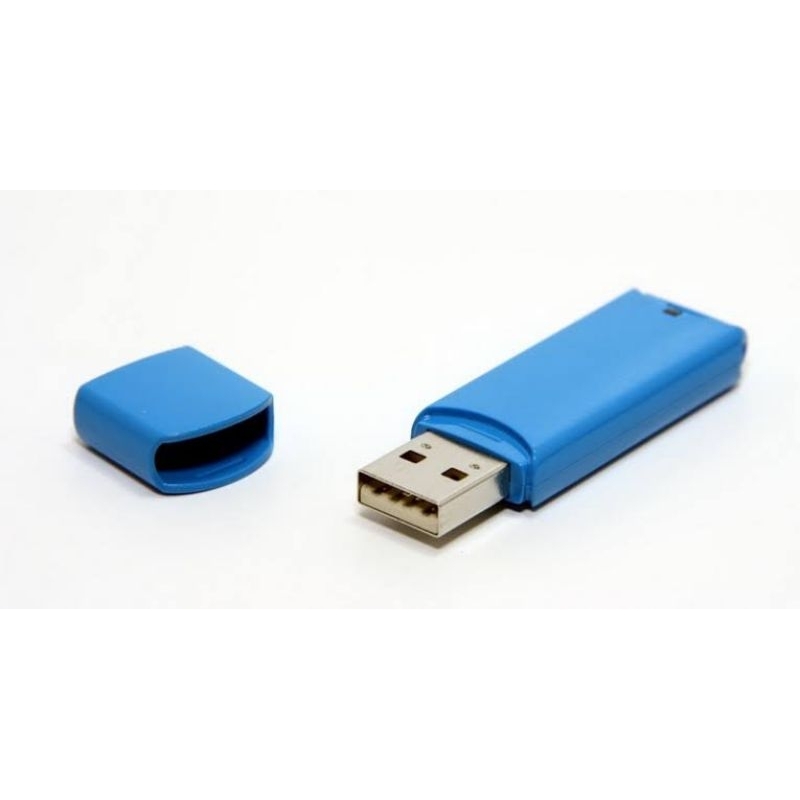 flashdisk 1gb