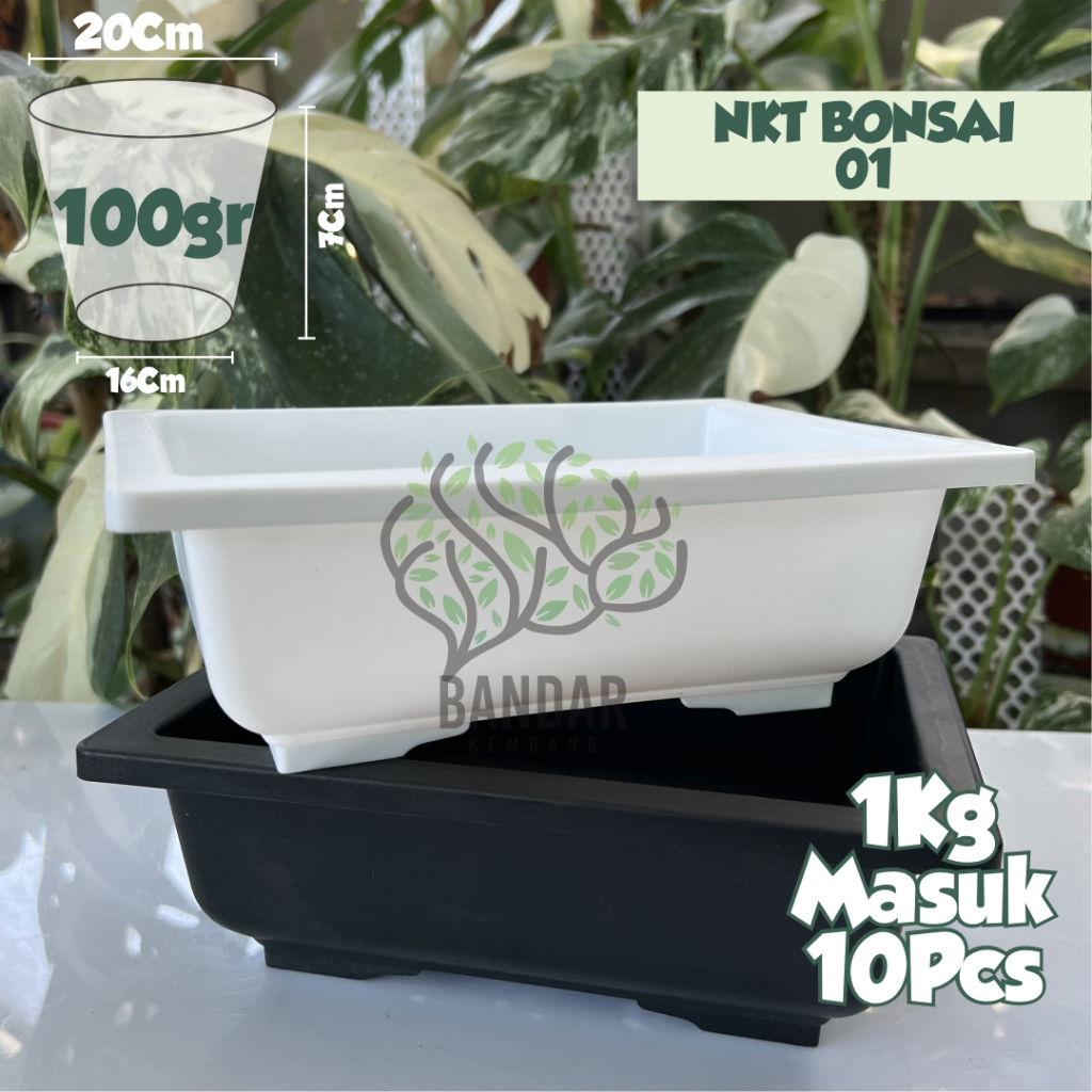 NKT Bonsai 01  Warna Hitam Putih Pot Tanaman Hias Pot Bonsai Unik