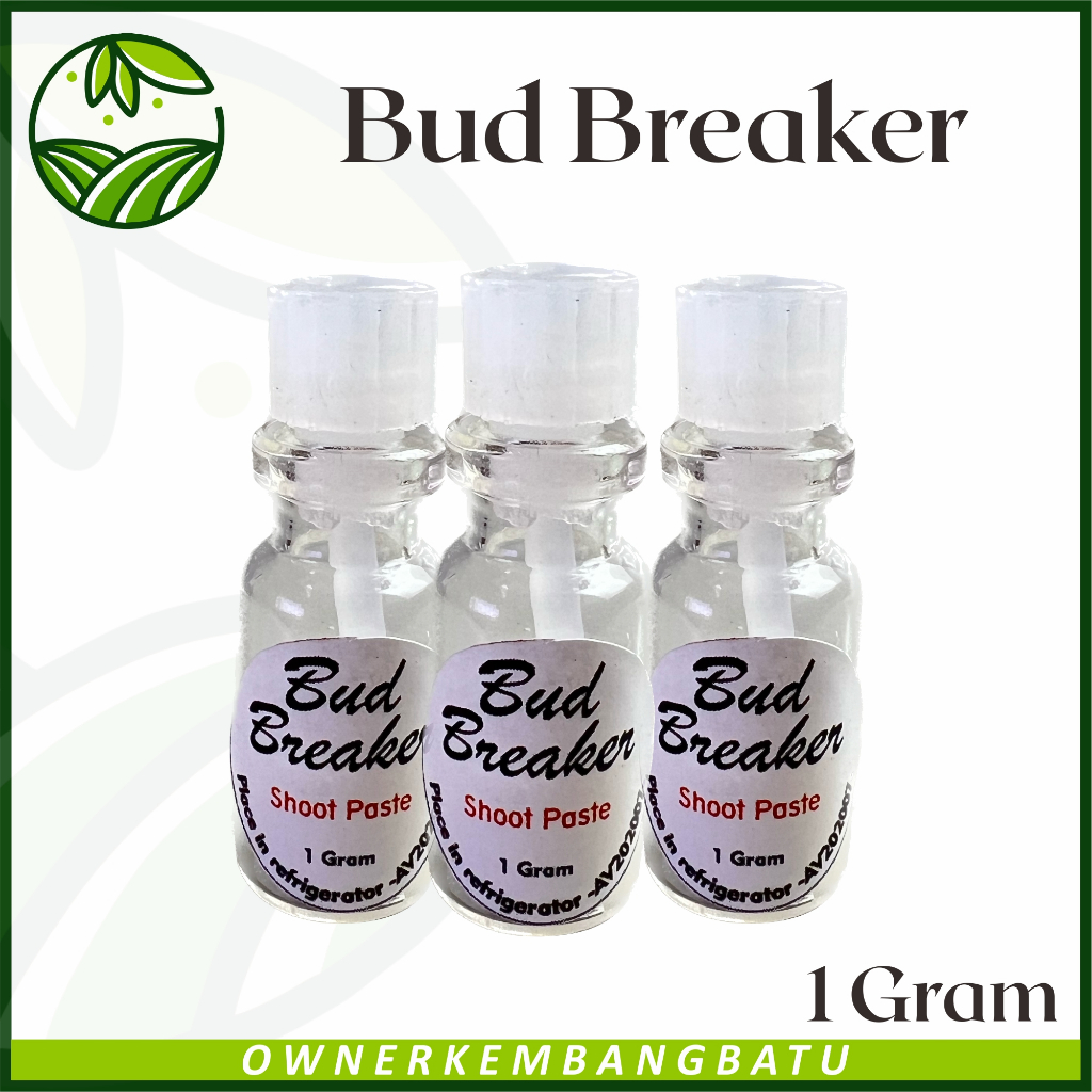 Hormon Penumbuh Tunas Bud Breaker 1 Gram Pasta Tunas Pupuk Tunas Tanaman Bunga Hias