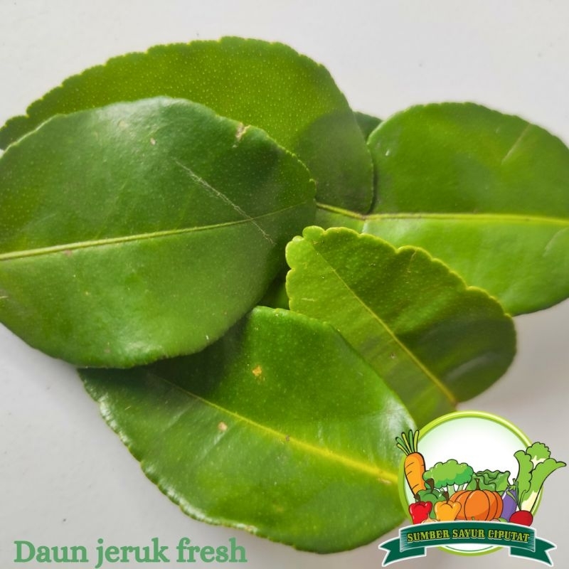 

Daun jeruk 1 pack - KIRIM INSTAN