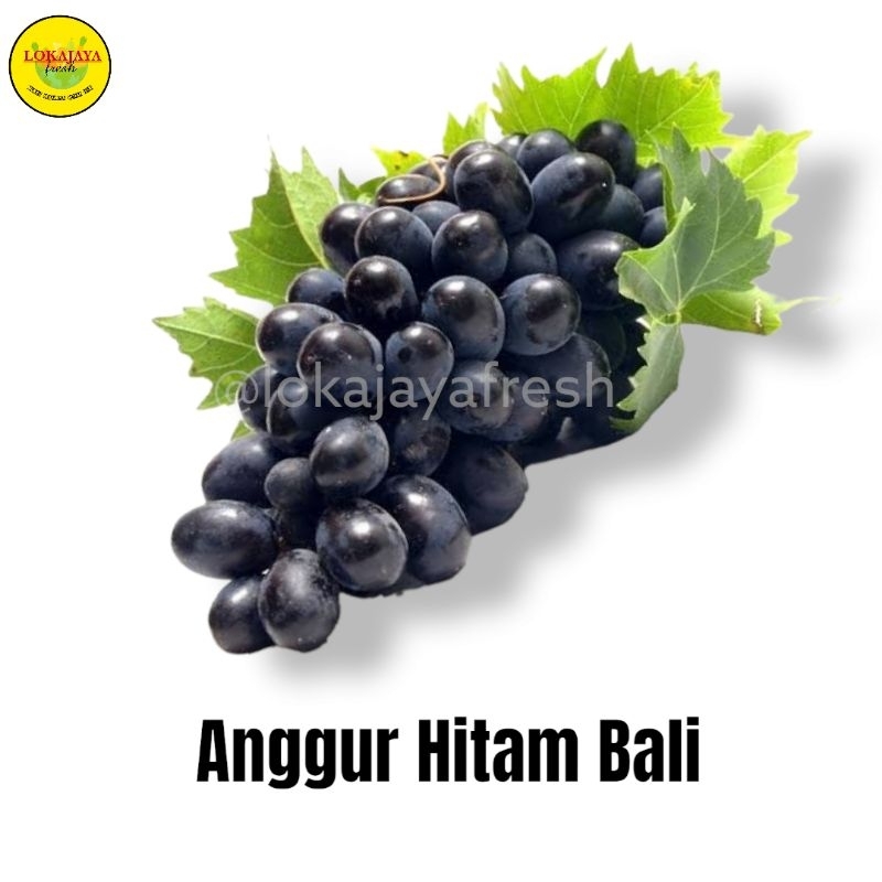 

[OBRAL] Anggur Hitam Bali 1 Kg
