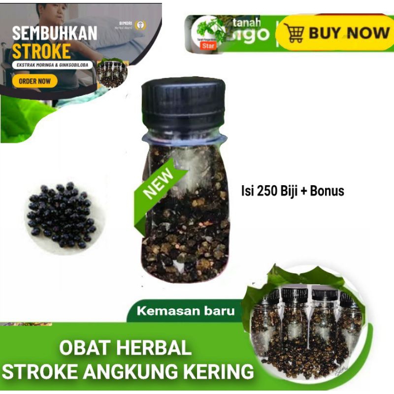 

Buah Angkung Kering Obat Herbal Stroke 100 Biji + Bonus 20 Biji
