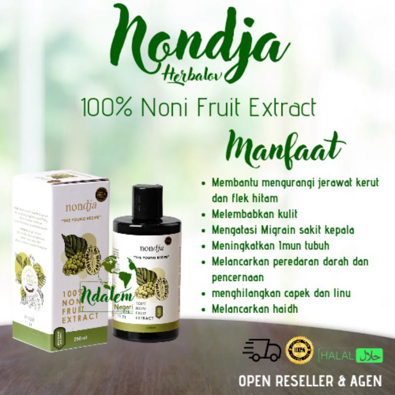 

Nondja || Minuman Fermentasi yang kaya manfaat || Minuman Herbal