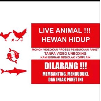 

STIKER LIVE ANIMAL UK 7.5 X 13 CM HEWAN HIDUP UNBOXING FRAGILE