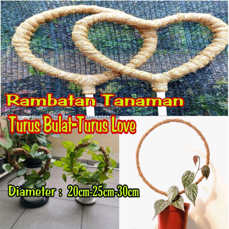 Turus Bulat/Turus Love Rambatan Tanaman Ajir Penyangga Tanaman