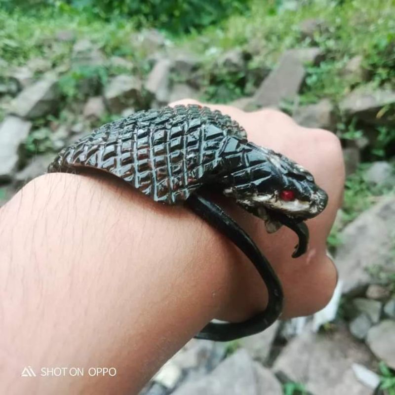 Akar Bahar hitam ukir king cobra afrika