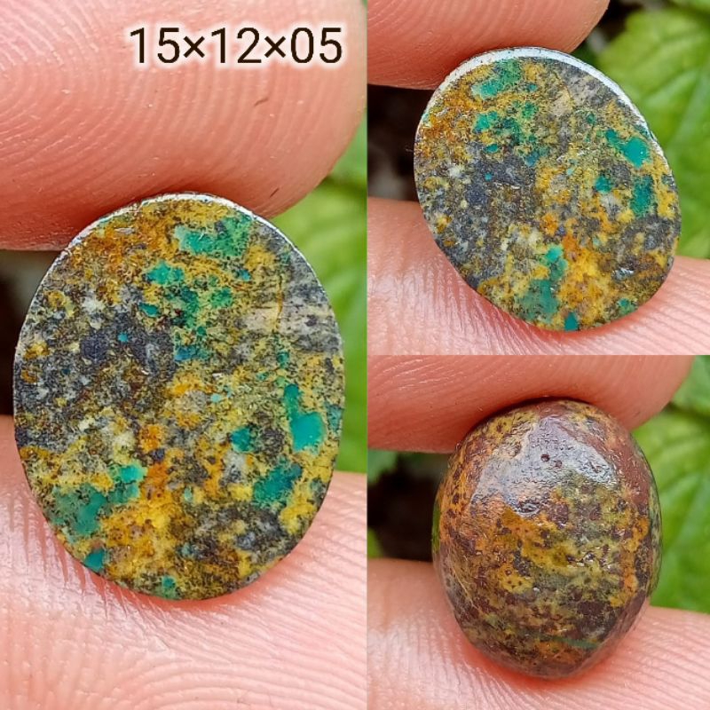 Pirus Persia Hijau Toska Gradasi