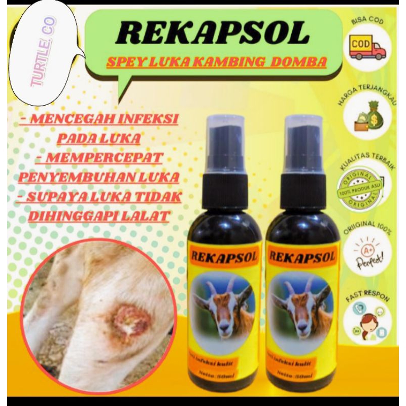 Obat Scabies Gudik Gatal Luka Pada Kambing dan Sapi 50 ml