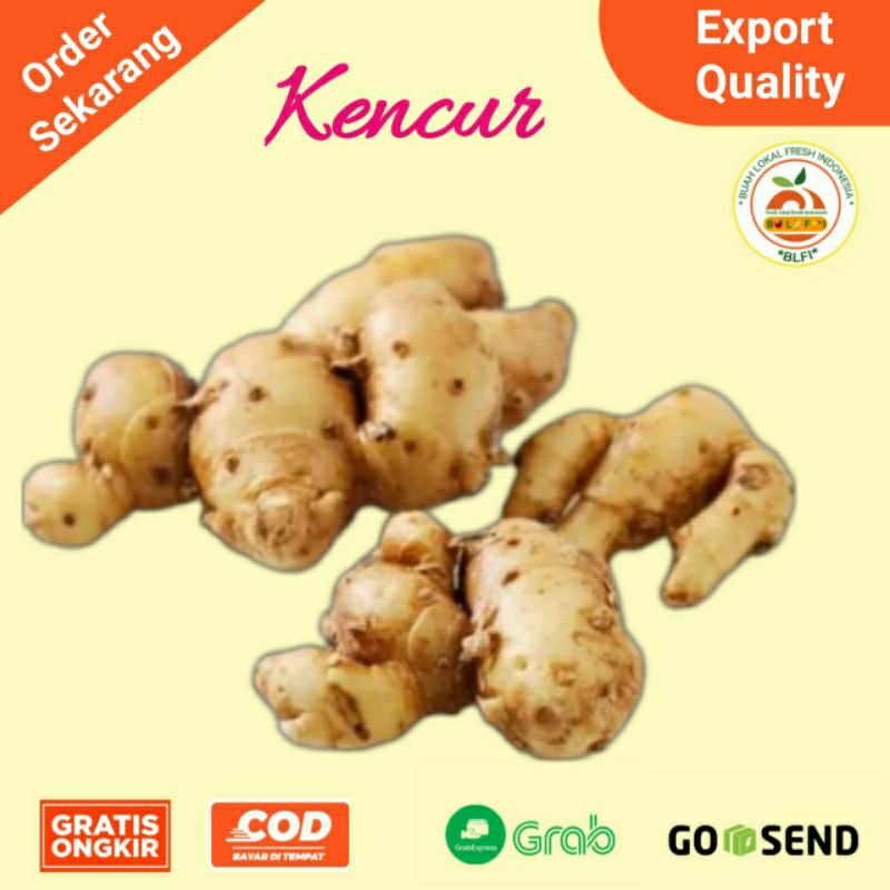 

BUMBU DAPUR KENCUR KEMASAN 100GRAM