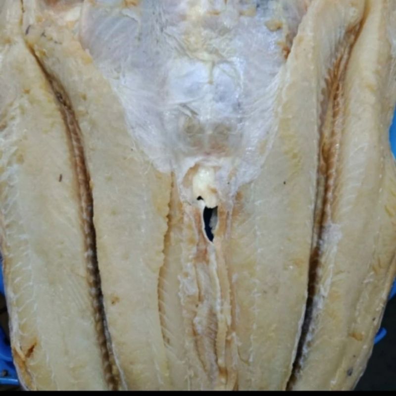 

Ikan Asin Jambal 250 gr