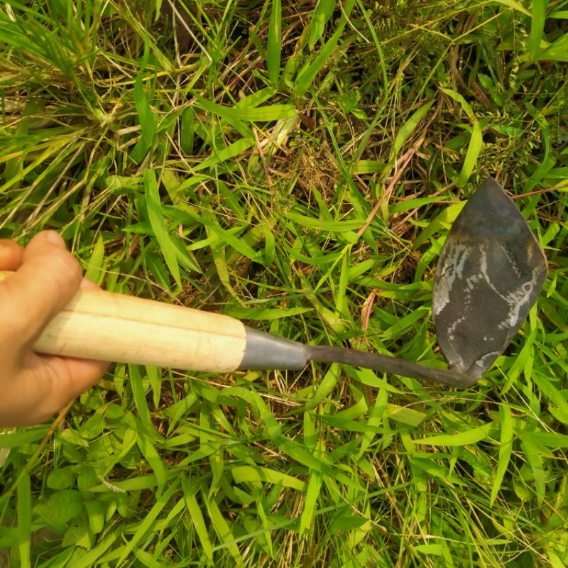 kored rumput, pembersih rumput