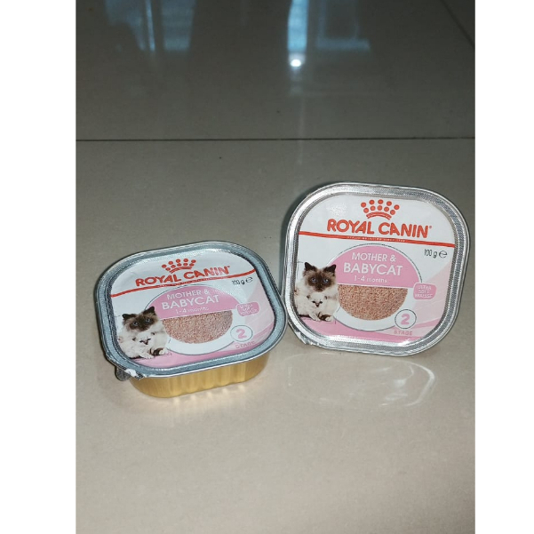 ROYAL CANIN - MOTHER & BABYCAT