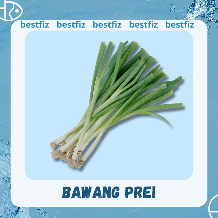 

Daun Bawang