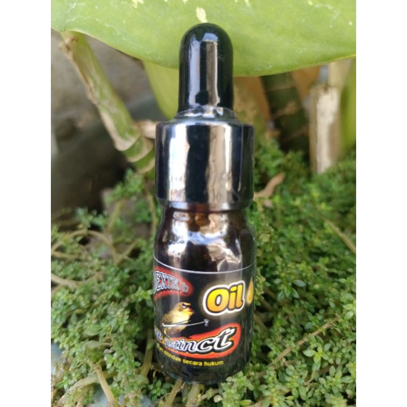 DEXTRO87 OIL PENGGACOR PLECI DAN PENYETABIL PLECI
