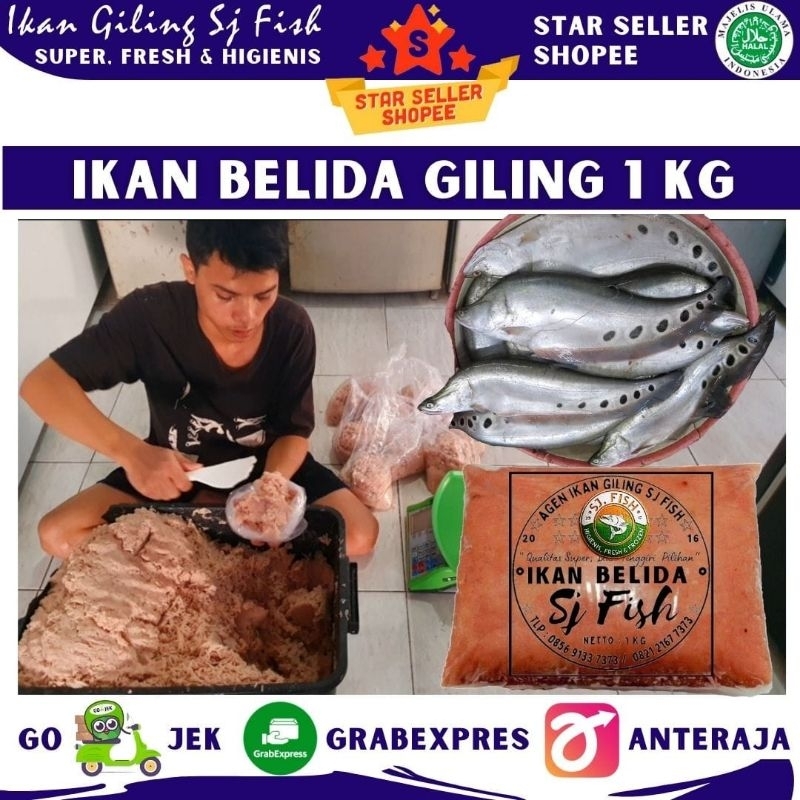 IKAN  BELIDA / PUTAK GILING 1 KG