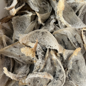 

Sarang Burung Walet Kotor Utuh