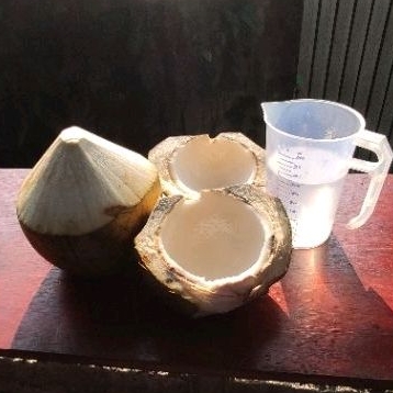 

Kelapa Muda Kerok 1 butir - Instant Kurir