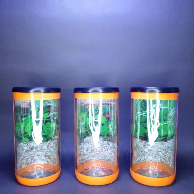 Aquarium mini/ Soliter Cupang/ Soliter mini/ Soliter ikan/ Botol ikan Cupang/ Aquarium ikan hias/ Wa