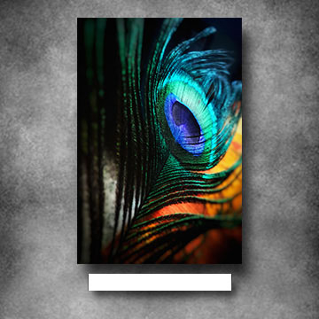 Hiasan dinding abstrak lukisan bulu merak wall decor pajangan dinding rumah ABSPV6