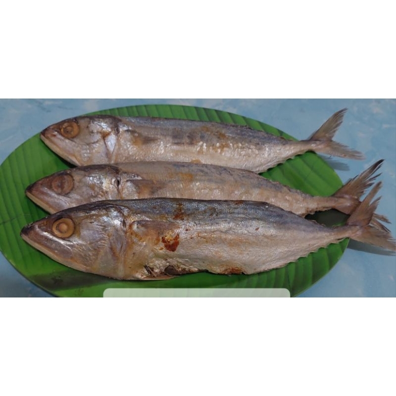 

IKAN ASIN PEDA 1 KG