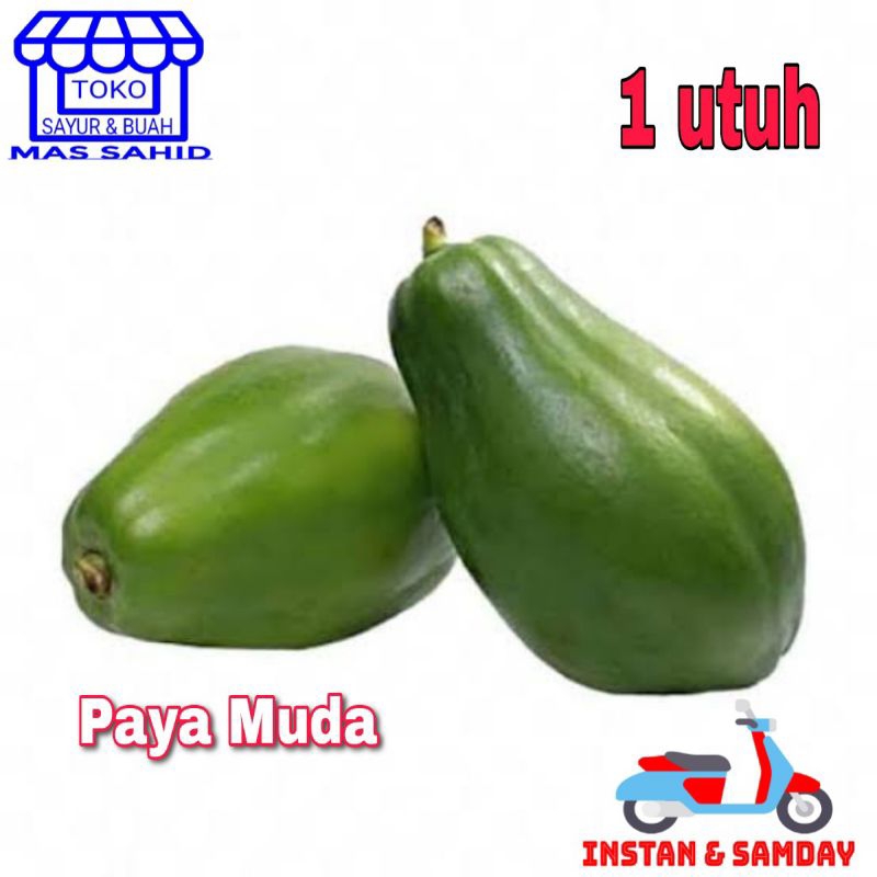 

Pepaya Muda Paya Mentah Paya Sayur Kirim instan & somday