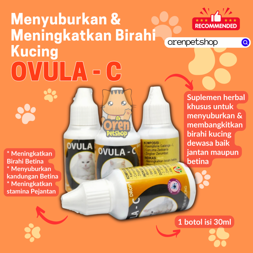 Ovula - C 30ml - Vitamin Obat Herbal Menyuburkan Birahi Stamina Kucing Jantan  Betina Oren Petshop